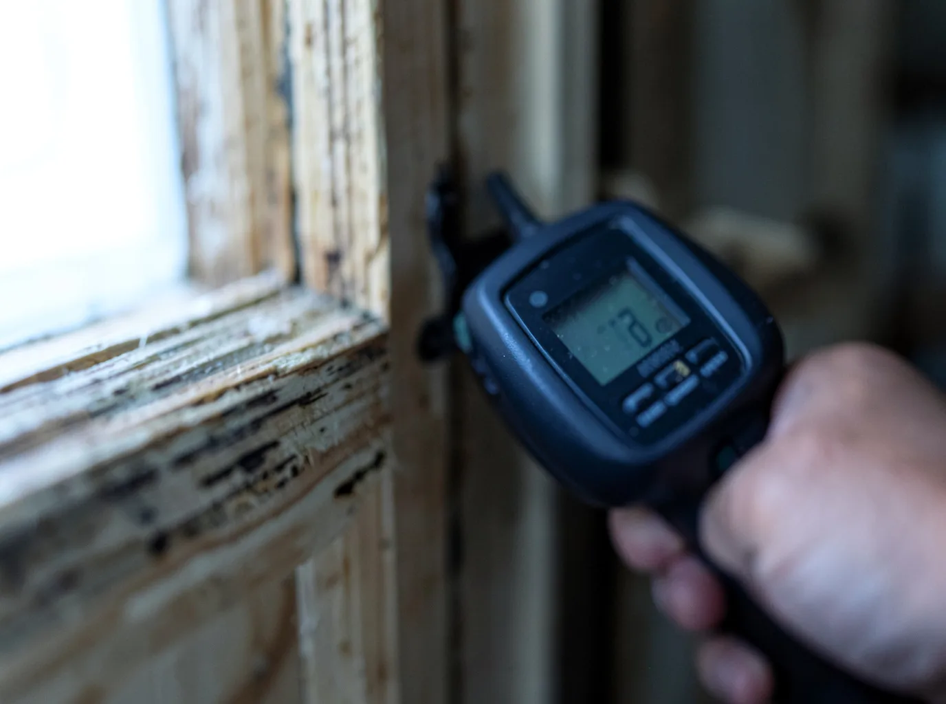 Moisture Inspection And Documentation in Aladdin, WY
